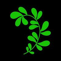 Green branch mexican embroidery on black background vector