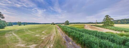 Panoramic image over agricultural area on the edge of forest under blue sky photo