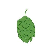 Hop icon vector beer cone pine illustration leaf art bud green decoration. Beer fresh hop icon isolated