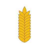 Agriculture wheat vector icon design