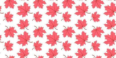 Maple autumn leaves seamless pattern, flat design template. Autumn background vector