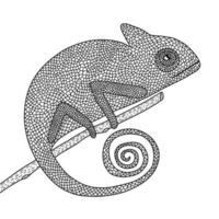 Chameleon coloring page sitting on tree. Cute vector chameleon coloring page.