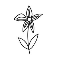 Vector daisy flower clipart. Hand drawn doodle little flower isolated