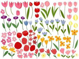 Vector different flower parts set. Decorative flowering part clipart set. Tulip, rose, daisy wild flowers, lily flower