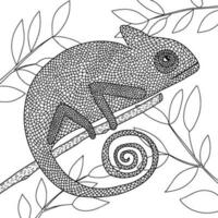 Coloring page with chameleon on branch with leaves. Vector coloring page for children and adults.