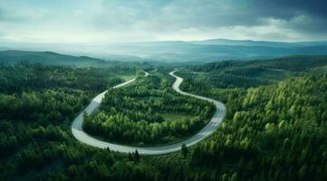 Aerial aerial road winding path forest tree canopy photo