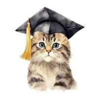 Cute watercolor cat in graduarion cap isolated photo