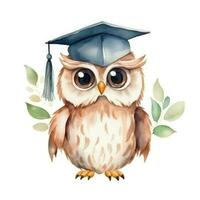 Cute watercolor owl in graduarion cap isolated photo