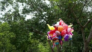 varios globos son vendido en el público parque. el globos de dibujos animados caracteres video