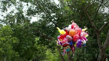 divers ballonnen zijn verkocht in de openbaar park. de ballonnen van tekenfilm tekens video
