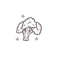 Hand Drawn Broccoli. Doodle Vector Sketch Illustration