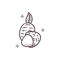 Hand Drawn Lychee. Doodle Vector Sketch Illustration