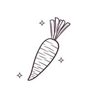 Hand Drawn Carrot. Doodle Vector Sketch Illustration