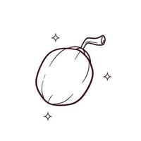 Hand Drawn Coconut. Doodle Vector Sketch Illustration