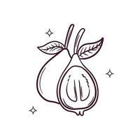 Hand Drawn Guava. Doodle Vector Sketch Illustration