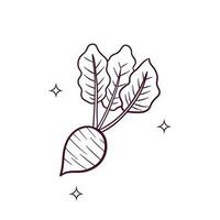 Hand Drawn Radish. Doodle Vector Sketch Illustration