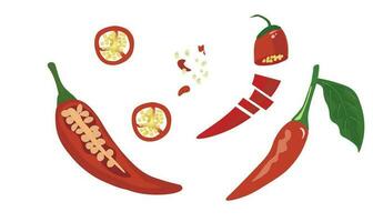 Chilli vector set. Chilli cut in half. Chopped. Chilli spices. Flat vector in cartoon style. Pepper. Fresh spices. Hot spices.