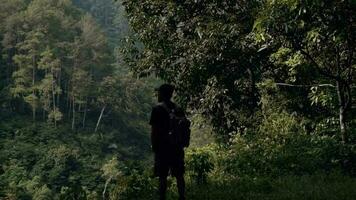 un asiático hombre en pie en el borde de un acantilado mientras mirando a el hermosa natural paisaje en un bosque video