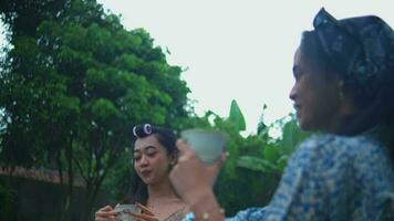 a group of Asian people having a picnic in a park with green grass video