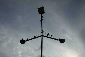 Pillar against sky. Electric pole in city. Wire on sky background. photo