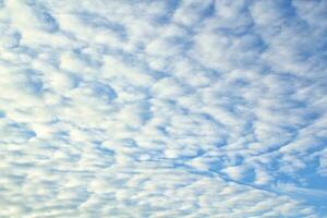 nubes suaves de luz blanca flotando en el cielo azul. fondo del paisaje matutino de la naturaleza. claro viento primaveral. brillante día de verano. cielo de aire tranquilo de invierno. panorama abstracto. cambiar el clima. vista de ángulo bajo foto