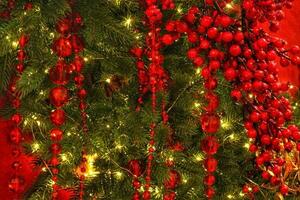 Close-up of Christmas tree in the house with decoration. Garland, lights and rowanberries on spruce fir branches. Winter holidays composition photo