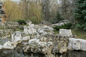 Chinese traditional stone garden. Green plants and rocks in oriental forest. Decorative shrub for landscaping in Asian style. Zen garden with grass and pebbles. Marble rockery stone photo