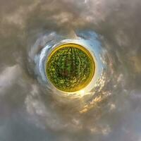 green tiny planet in blue sky with beautiful evening clouds with sunflowers with transformation of spherical panorama 360 degrees. Curvature of space. photo