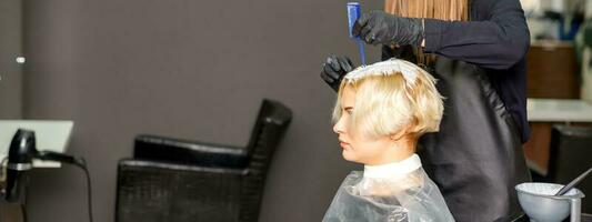 The professional hairdresser is dyeing the hair of her female client in a beauty salon. photo