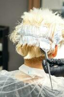 The professional hairdresser is dyeing the hair of her female client in a beauty salon. photo