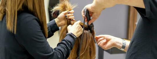 The rear view of two hairdressers are curling hair for a young woman with electric hair iron in a beauty salon. photo