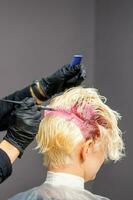 Hairdresser colors female blonde hair in pink color at a beauty salon. photo