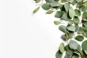 Eucalyptus leaves on white background. Flat lay, top view, copy space. AI Generative photo