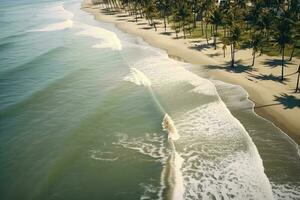 Aerial View of palm trees along the shoreline on the beach.  AI Generative photo