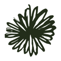 artistic flower element png