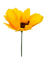 Yellow flower head isolated element png