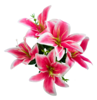 pink lily flowers bouquet isolated png