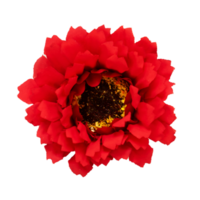 red zinnia flower isolated element png