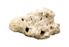 White coral stone isolated element png