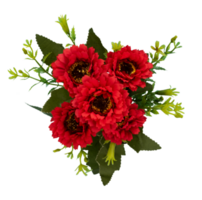 bouquet of red flowers isolated png