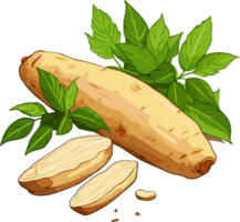 cassava root manioc with leaves illustration png