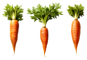 carrots with fresh leaves, AI Generated png
