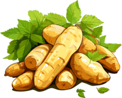 manioc légume avec feuille main tiré illustration png