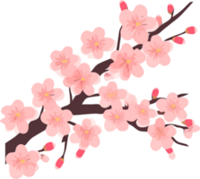 sakura Cereza florecer flor elemento png