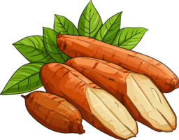 manioc racine manioc main tiré illustration png