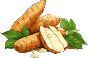 manioc racine tubercule avec feuilles main tiré illustration png