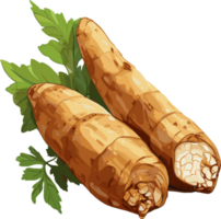 manioc tubercule avec feuilles illustration png