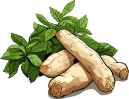 Cassava root tuber with leaves illustration png