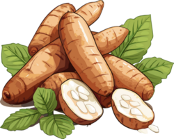 manioc racine tubercule tranche illustration png