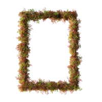 skön blomma ramar png